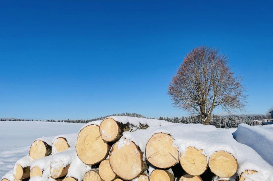 20260111-Holzstoss-960×636